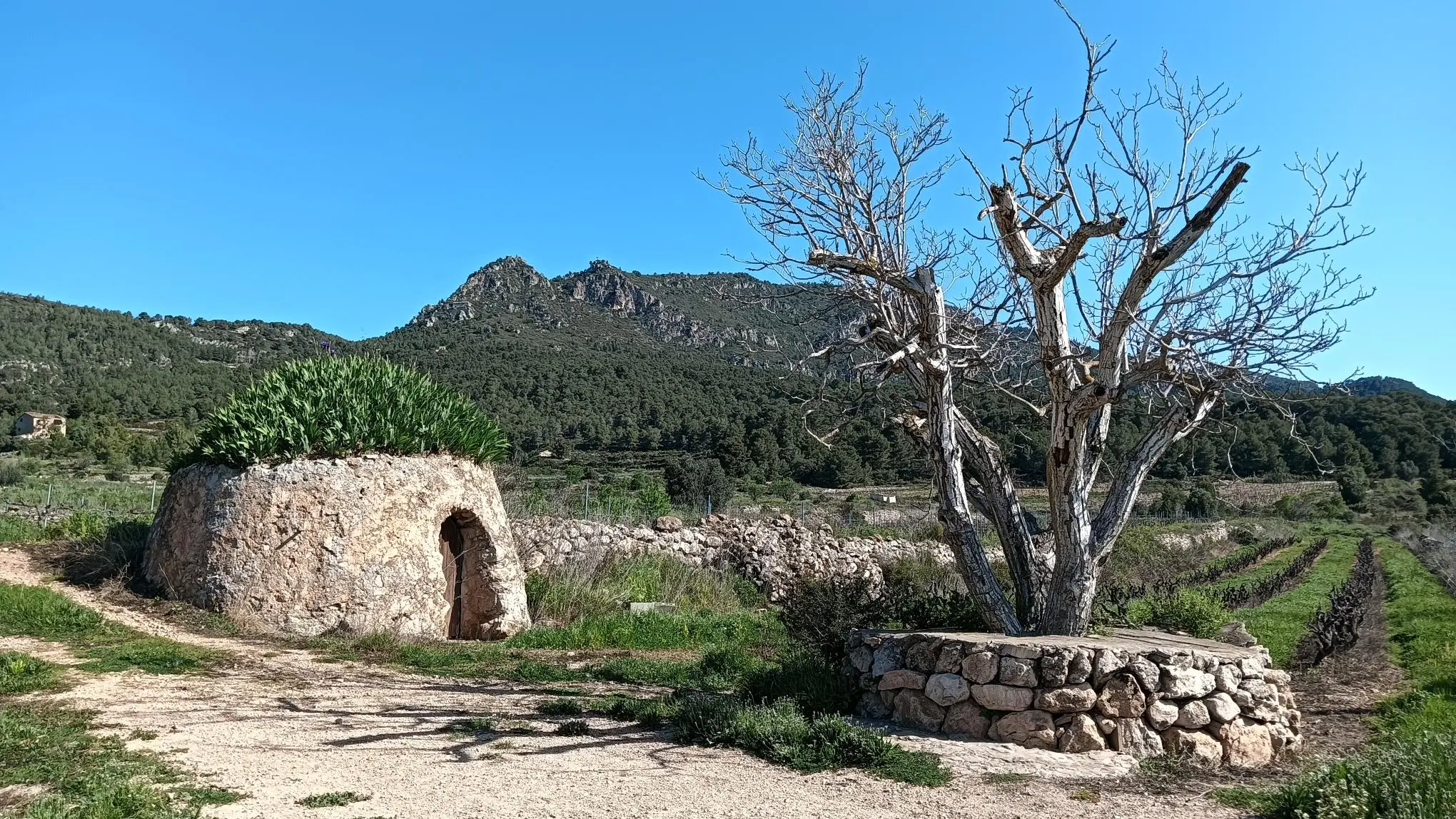 Sfeervolle woonkamer van Cal Guixater
