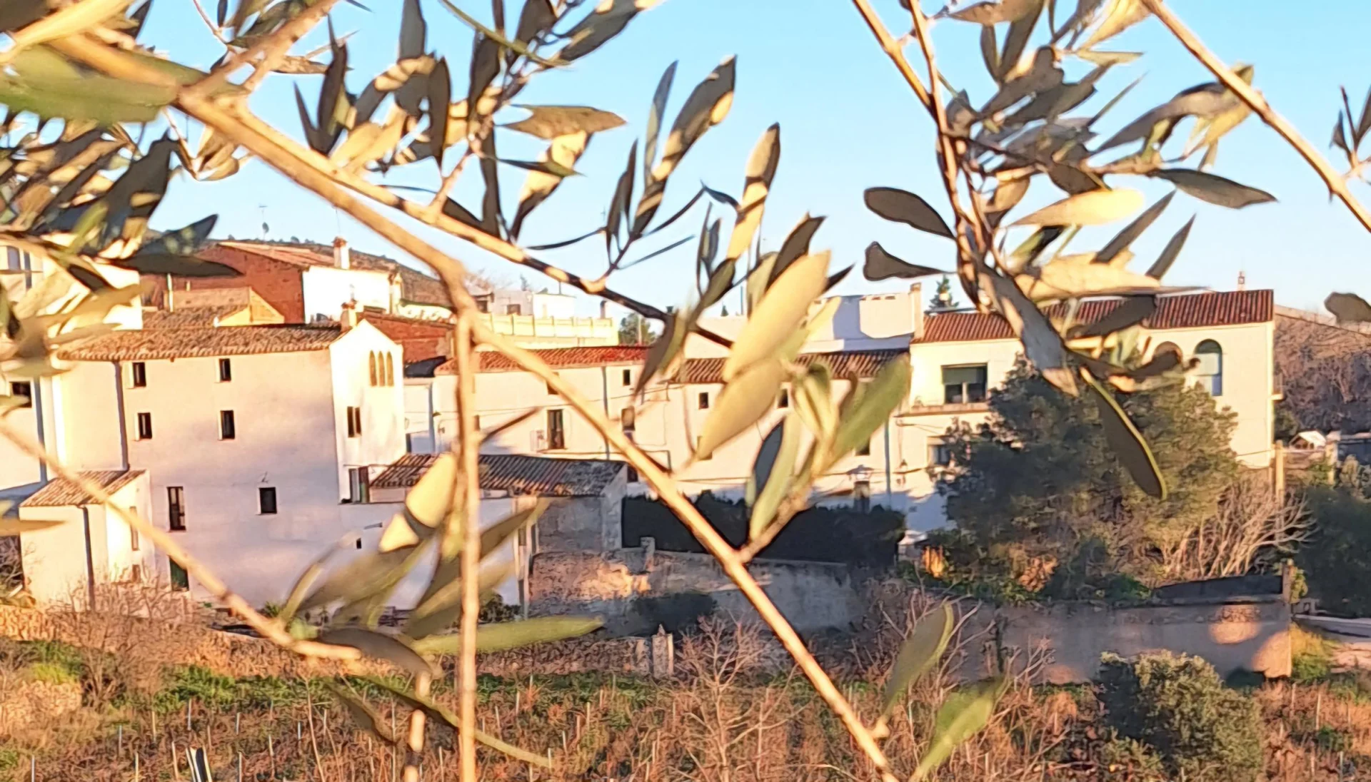 Uitzicht vanaf Cal Guixater over de Serra del Montmell