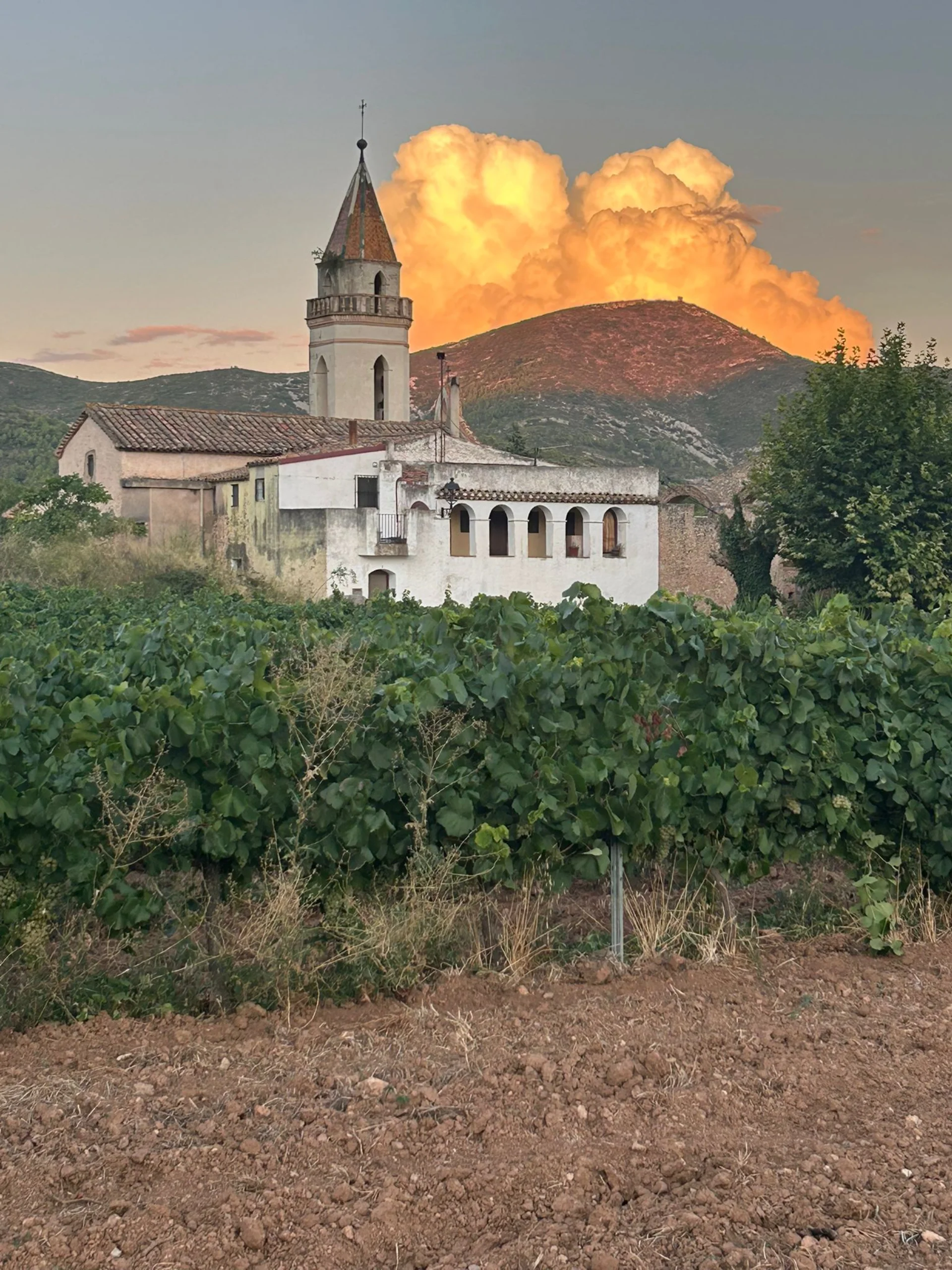 Dorpsgezicht La Juncosa de Montmell