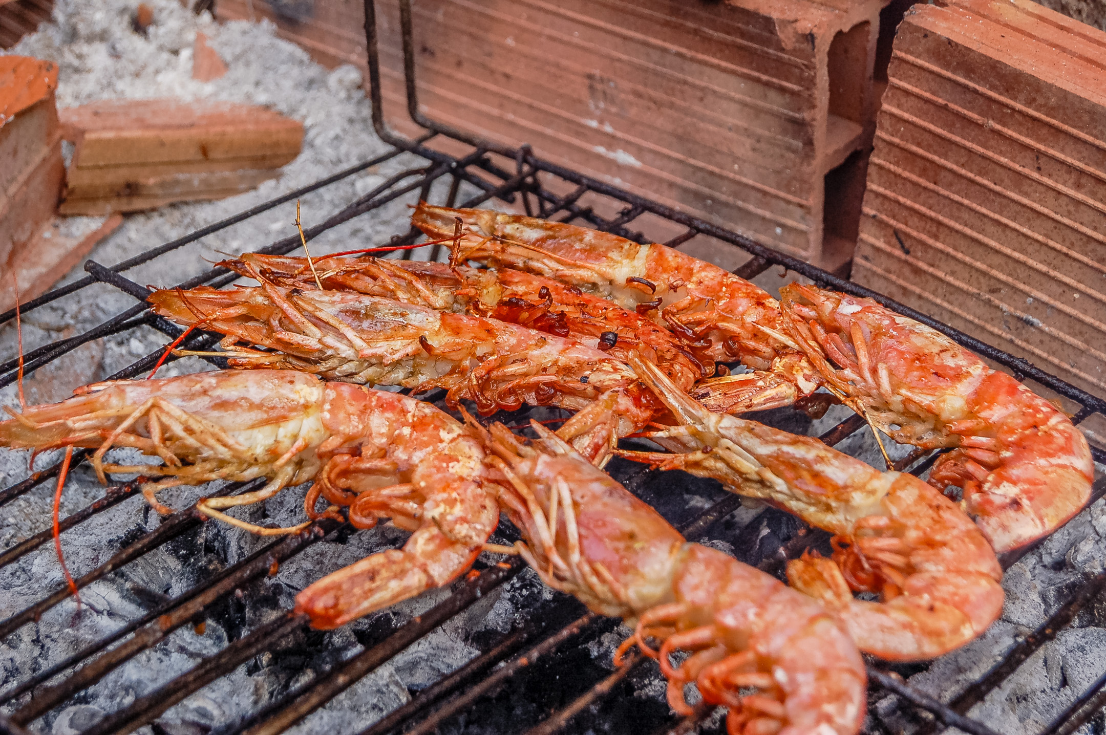 Food 1 Cal Guixater 3